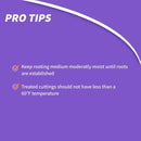 Bonide Bontone Powder Rooting Hormone 1.25 oz