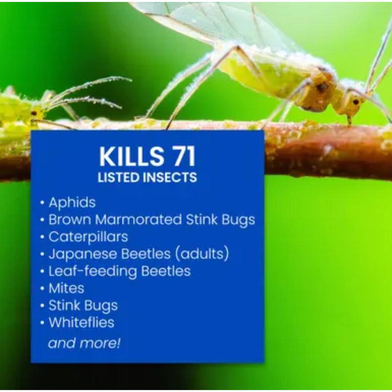 BioAdvanced Insect Killer Liquid Concentrate 40 oz