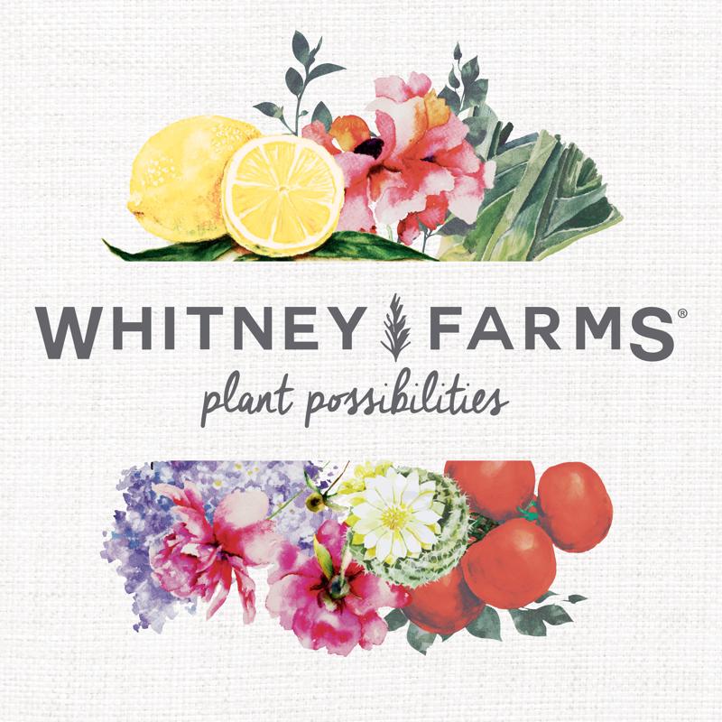 Whitney Farms Organic Fruit and Vegetable Potting Soil 8 qt