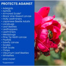 BioAdvanced Rose & Flower Care Granules Plant Food and Insect Control 5 lb