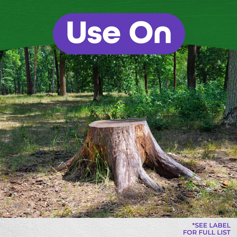 Bonide Stump Out Tree Roots Decomposition Accelerator Granules 1 lb