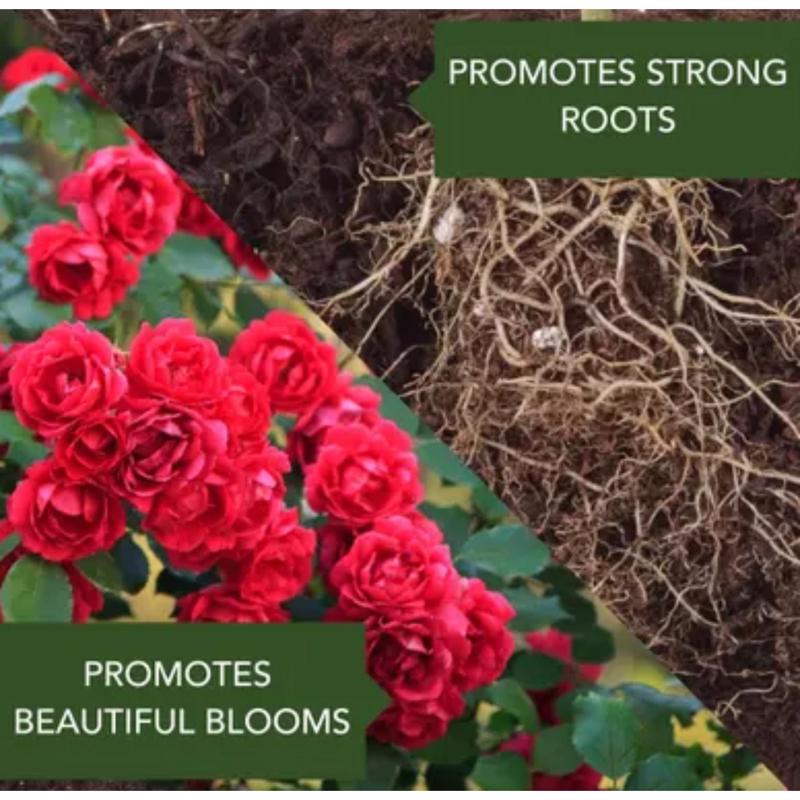 BioAdvanced 2-in-1 Systemic Roses and Flowers 6-9-6 Rose & Flower Fertilizer/Insecticide 10 lb