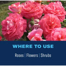 BioAdvanced 2-in-1 Systemic Roses and Flowers 6-9-6 Rose & Flower Fertilizer/Insecticide 10 lb