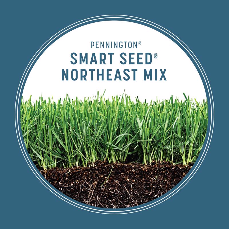 Pennington Smart Seed Mixed Sun or Shade Grass Seed and Fertilizer 3 lb
