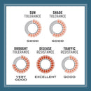 Pennington Smart Seed Mixed Sun or Shade Grass Seed and Fertilizer 3 lb