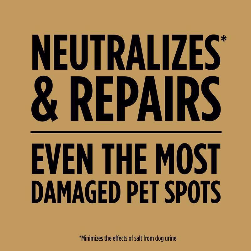 Scotts EZ Seed Mixed Sun or Shade Pet/Dog Spot Grass Repair Seed 2 lb