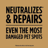 Scotts EZ Seed Mixed Sun or Shade Pet/Dog Spot Grass Repair Seed 2 lb
