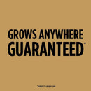 Scotts EZ Seed Tall Fescue Grass Sun or Shade Pet/Dog Spot Grass Repair Seed 2 lb