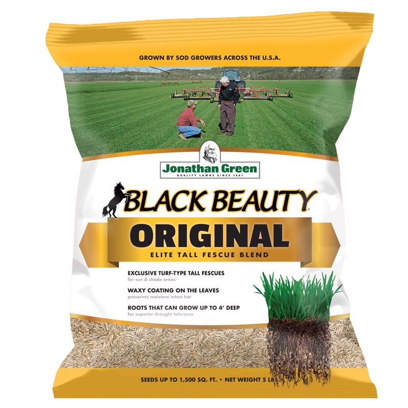 BLACK BEAUTY GRS SEED 5#