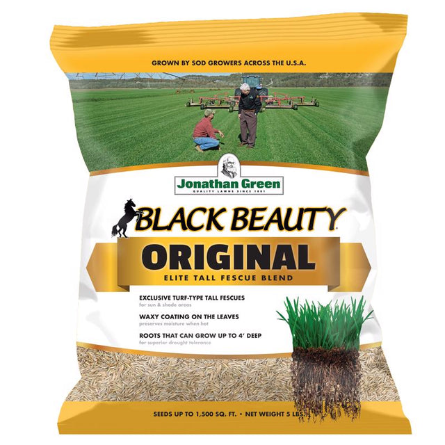 BLACK BEAUTY GRS SEED 5#