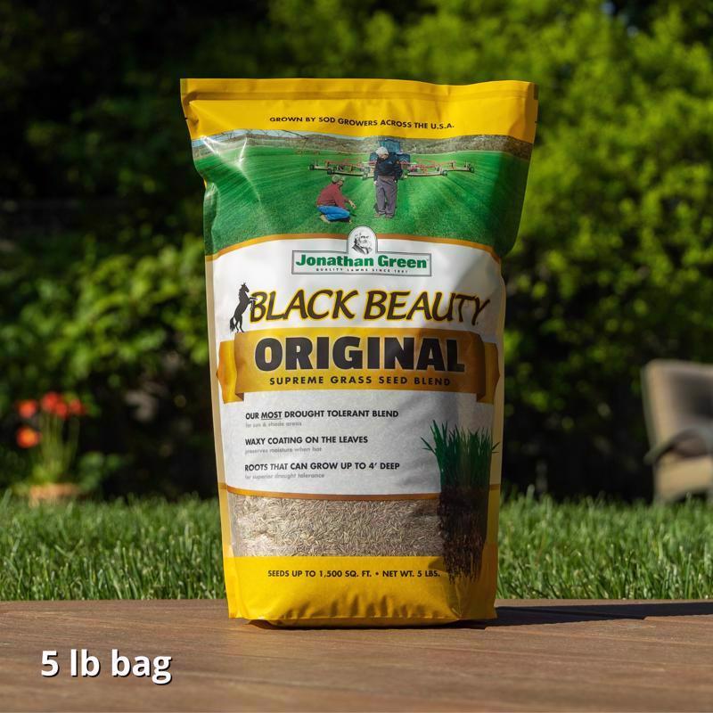 Jonathan Green Black Beauty Original Tall Fescue Grass Sun or Shade Grass Seed 5 lb