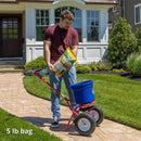 Jonathan Green Black Beauty Original Tall Fescue Grass Sun or Shade Grass Seed 5 lb