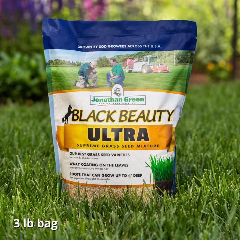 Jonathan Green Black Beauty Ultra All Grasses Sun or Shade Grass Seed 3 lb