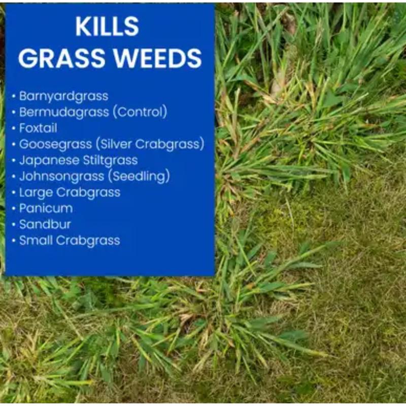BioAdvanced Crabgrass Killer RTS Hose-End Concentrate 32 oz