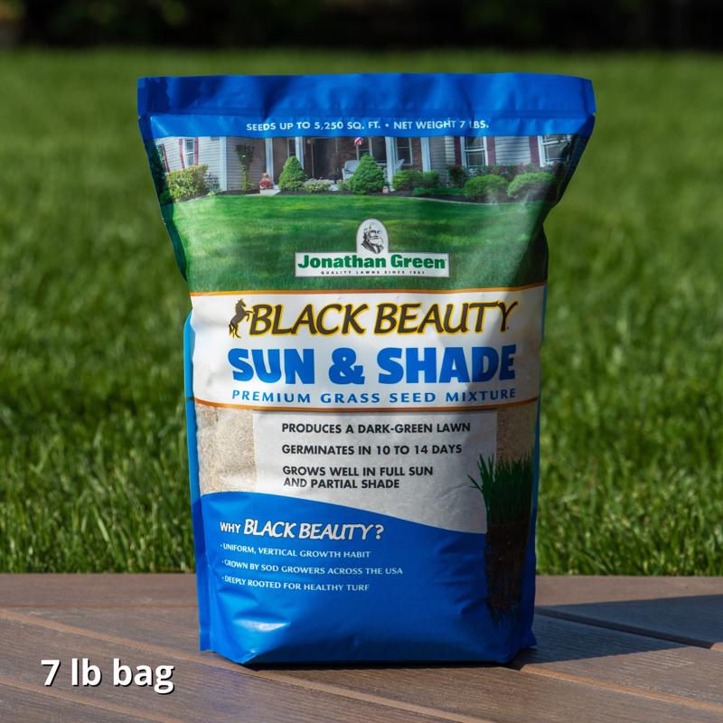 Jonathan Green Black Beauty Sun and Shade Mixed Partial Shade/Sun Grass Seed 7 lb