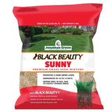 GRS SEED BLKBTY SUN 7#