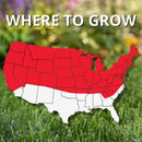 Jonathan Green Black Beauty Sunny Mixed Full Sun Grass Seed 7 lb