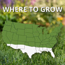 Jonathan Green Fast Grow Mixed Sun or Shade Grass Seed 3 lb