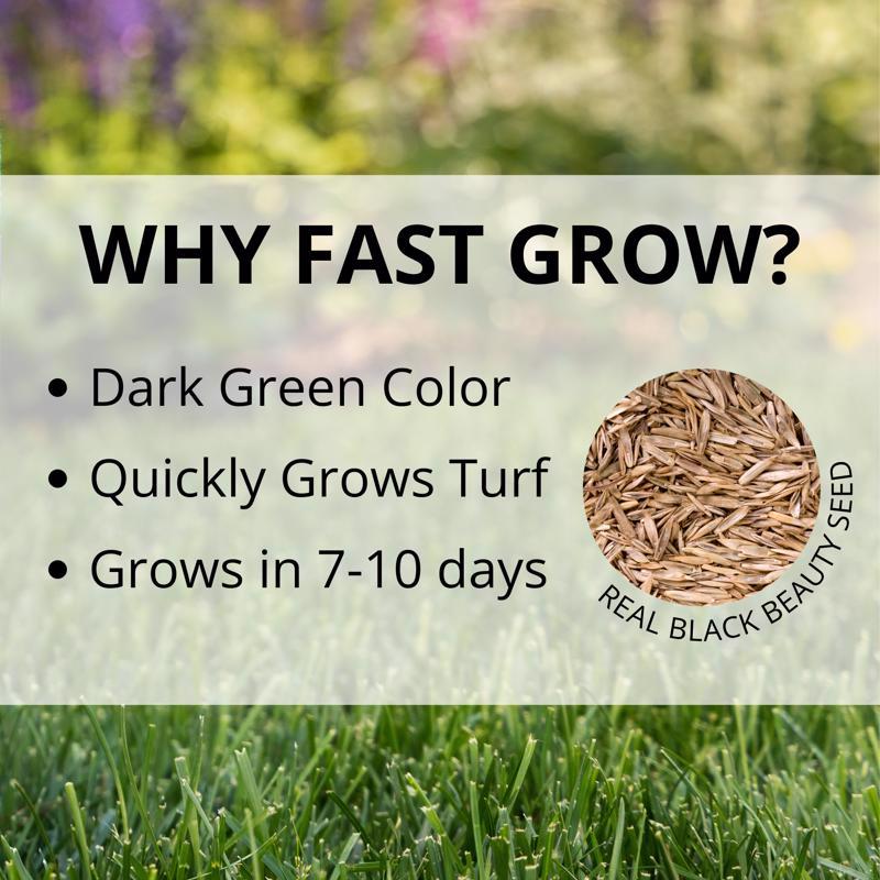 Jonathan Green Fast Grow Mixed Sun or Shade Grass Seed 7 lb