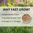 Jonathan Green Fast Grow Mixed Sun or Shade Grass Seed 7 lb