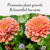 Whitney Farms Organic Granules All Purpose Plant Food 4 lb