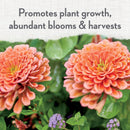 Whitney Farms Organic Granules All Purpose Plant Food 4 lb