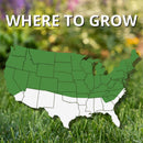 Jonathan Green Black Beauty Shady Nooks Mixed Full Shade Grass Seed 3 lb