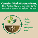 Miracle-Gro Shake 'n Feed Granules Plant Food 4.5 lb