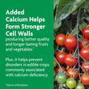 Miracle-Gro Shake 'n Feed Granules Plant Food 4.5 lb