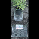 Digger's Root Guard 20 in. H X 19 in. W X 0.2 in. D Silver Coated Wire Gopher Wire Basket