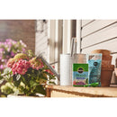 Miracle-Gro Miracid Powder Azalea, Camellia, Gardenia, Hibiscus, Holly, Hydrangea, and Orchids Plant
