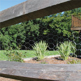 Garden Craft 48 in. H X 50 ft. L Galvanized Steel Poultry Netting 1 in.