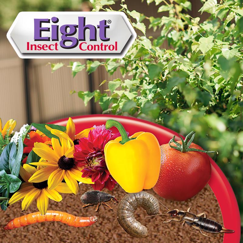 Bonide Eight Insect Control Granules 3 lb