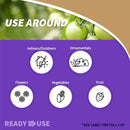 Bonide Bug Beater Stink Bug Trap 3 pk