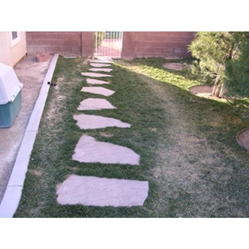 Revive Dog Spot Treatment Lawn Fertilizer For All Grasses 2000 sq ft