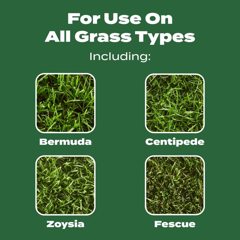 Scotts Turf Builder All-Purpose Lawn Food For All Grasses 5000 sq ft