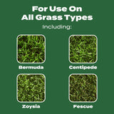 Scotts Turf Builder All-Purpose Lawn Food For All Grasses 5000 sq ft