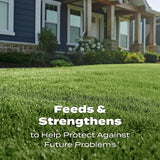 Scotts Turf Builder All-Purpose Lawn Food For All Grasses 5000 sq ft