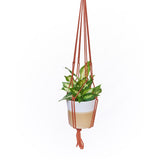 Primitive Planters Assorted Macrame 36 in. H Plant Hanger 1 pk