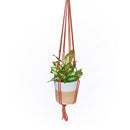 Primitive Planters Assorted Macrame 36 in. H Plant Hanger 1 pk