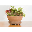 Down Under Decksaver 1 in. H X 12 in. W X 12 in. D Plastic Planter Trivet Clear