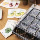 Jiffy 22 in. W X 11 in. L Seed Starting Dome 1 pk