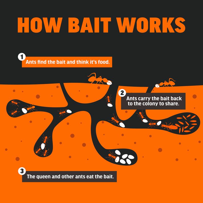 Amdro Insect Killer 6 oz