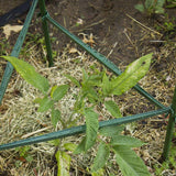 Gardener's Blue Ribbon Green Steel Garden Stakes
