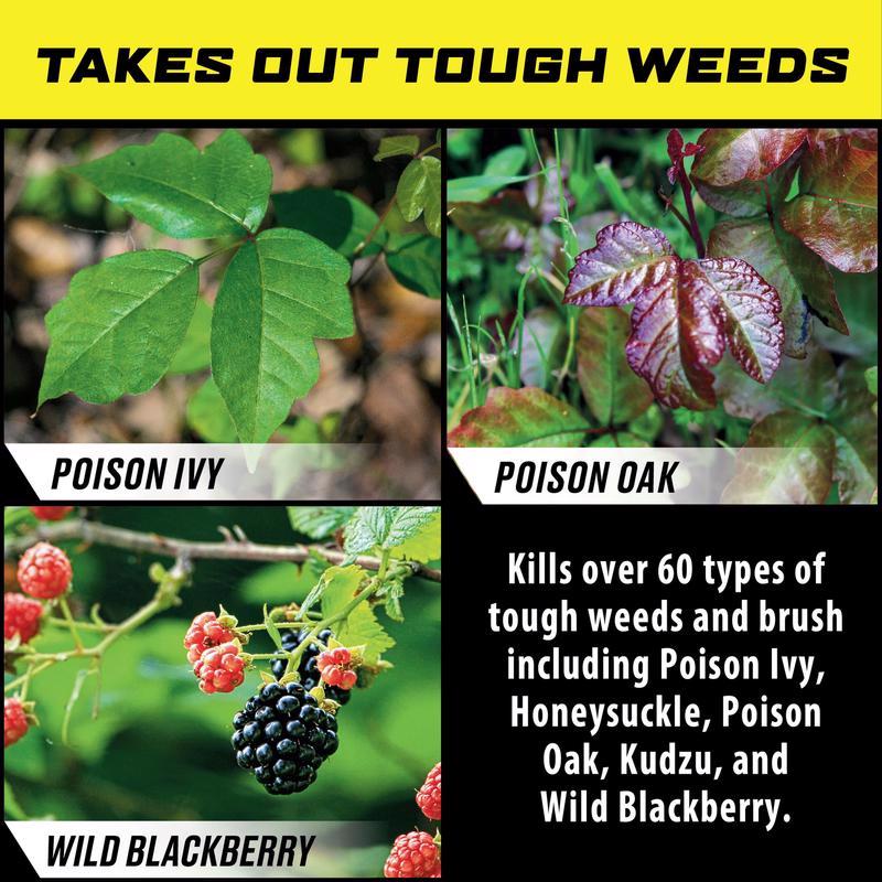 Ortho GroundClear Poison Ivy Killer RTU Liquid 24 oz