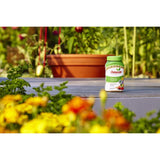 Osmocote Smart-Release Flower & Vegetable Granules Plant Food 1 lb
