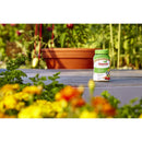 Osmocote Smart-Release Flower & Vegetable Granules Plant Food 1 lb