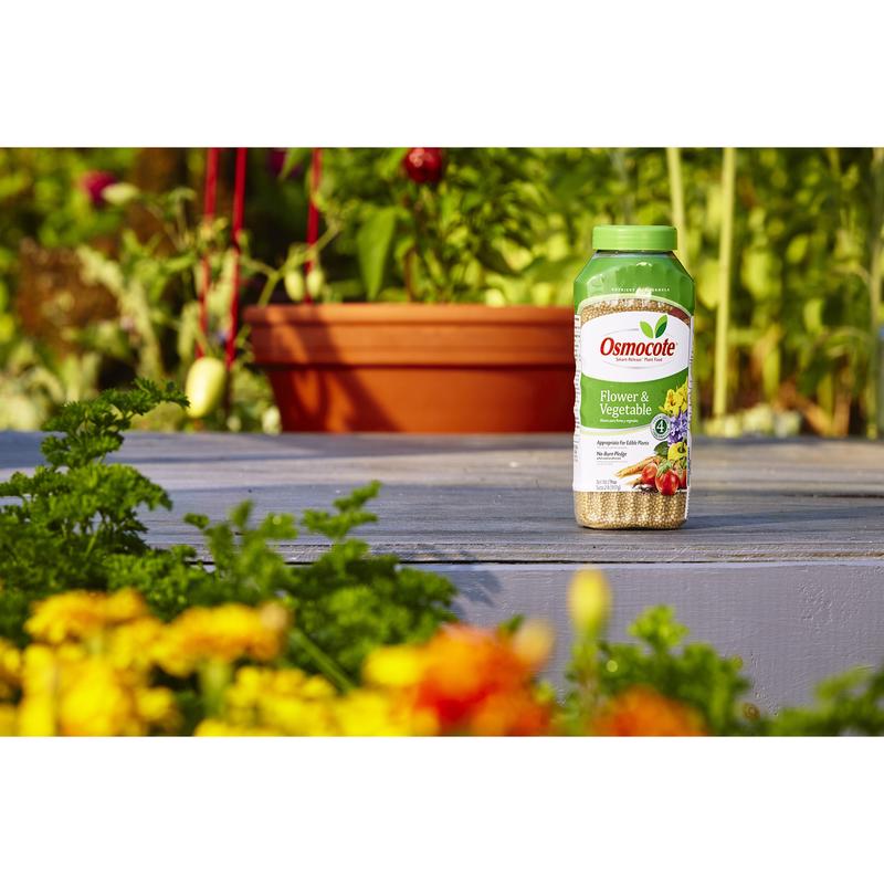 Osmocote Smart-Release Flower & Vegetable Granules Plant Food 2 lb