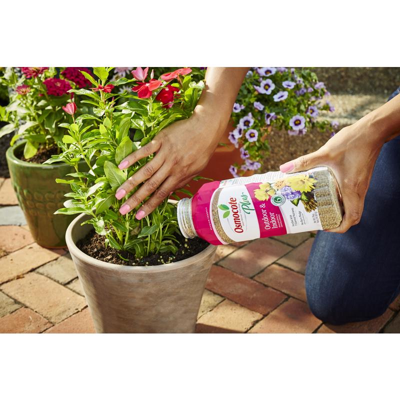 Osmocote Smart-Release Plus Outdoor & Indoor Granules Plant Food 2 lb