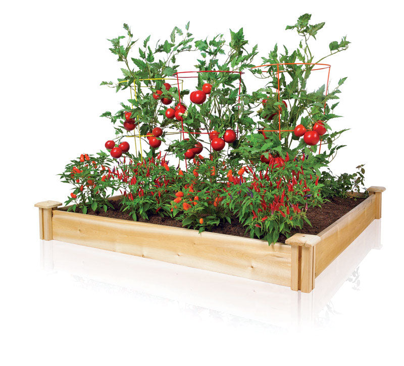 Greenes 5.5 in. H X 48 in. W Cedar Raised Bed Planter Brown